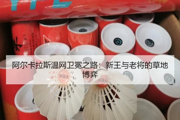 阿尔卡拉斯温网卫冕之路：新王与老将的草地博弈