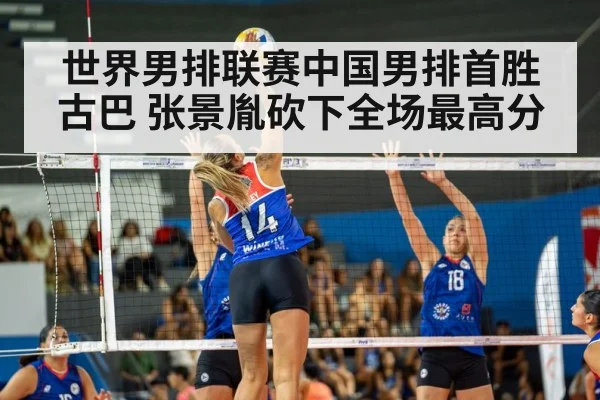 volleyball spike action